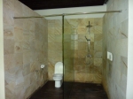 Shower and toilet area in the bathroom